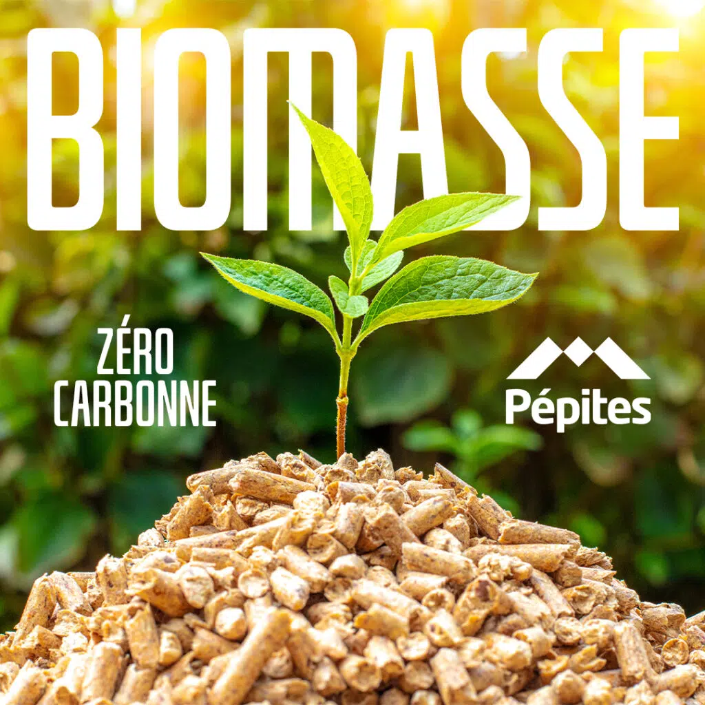 BIOMASSE pépites granulés : zéro carbonne