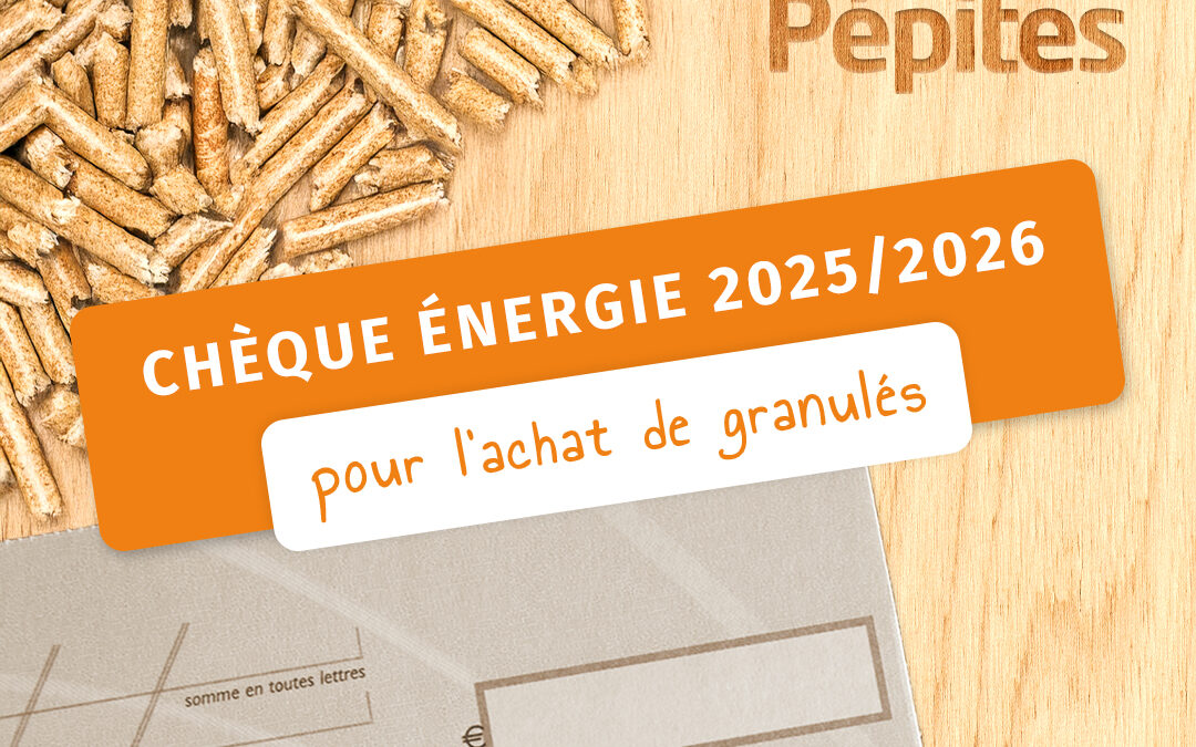 Le chèque énergie : une aide précieuse pour acheter vos granulés de bois