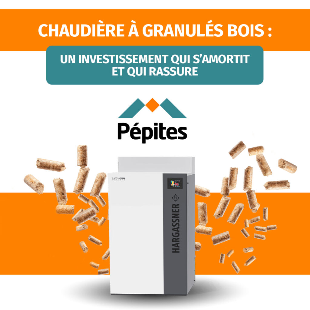 Chaudière à granulés bois Pépites