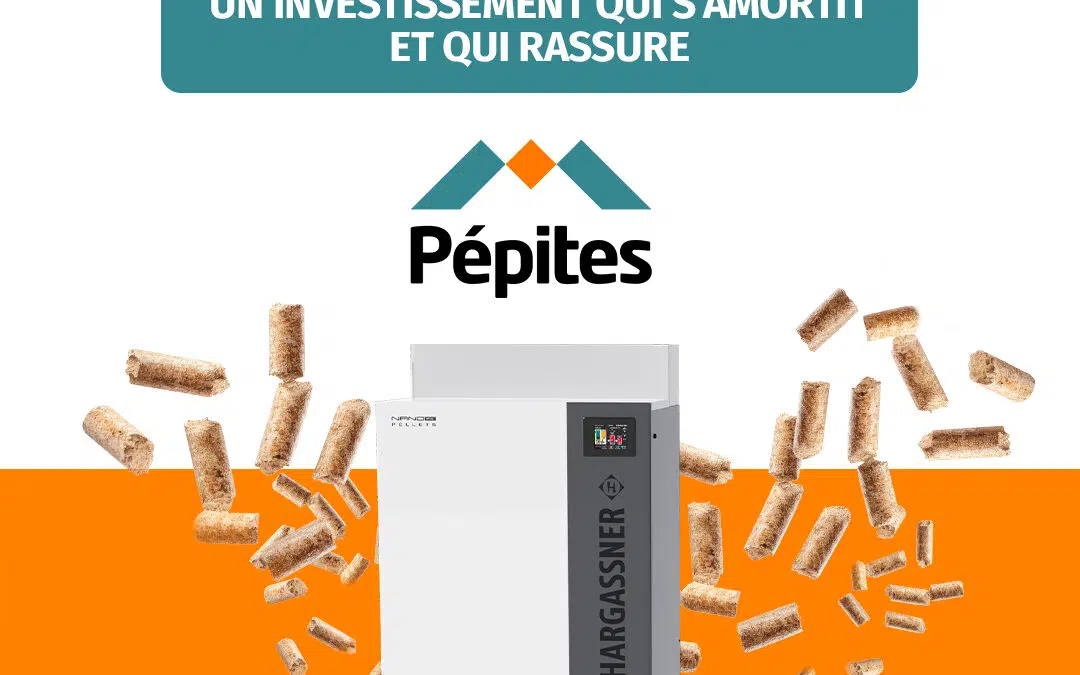 Chaudière à granulés bois : un investissement qui s’amortit et qui rassure