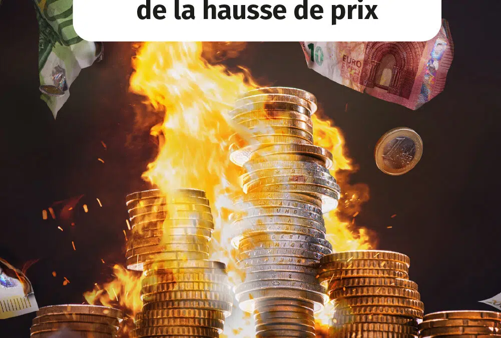 Granulés de bois : une hausse de prix à anticiper dès maintenant ! Ce que la situation internationale va changer pour votre chauffage dans les prochaines semaines.