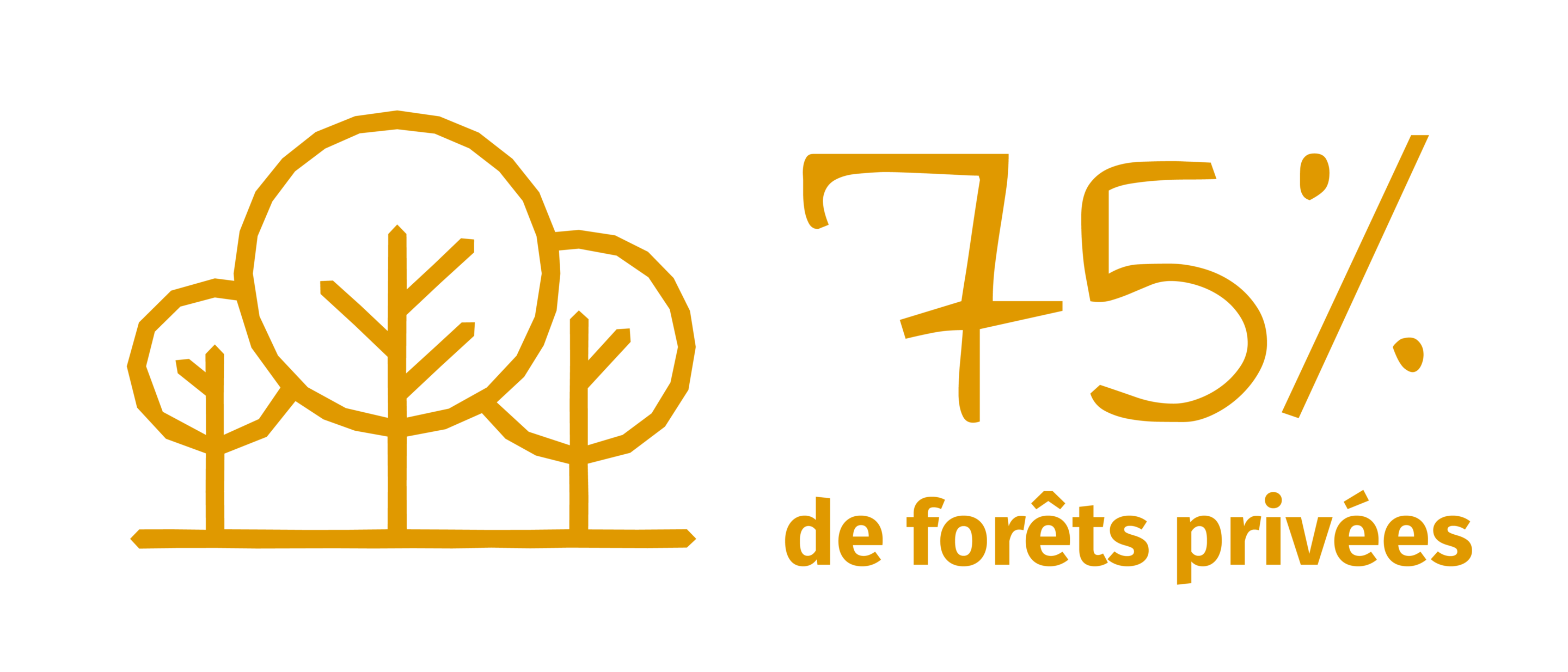 75% forêts privées
