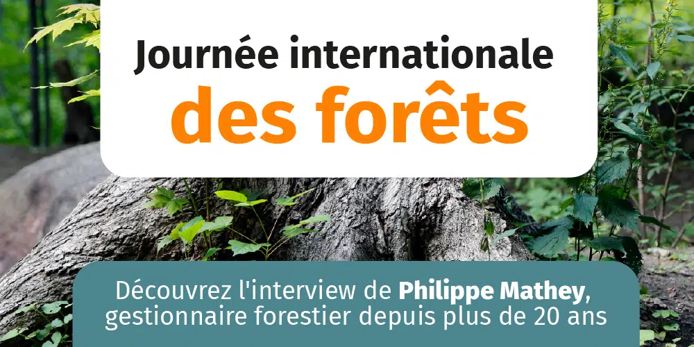 Journée nationale des forêts interview Philippe Mathey gestionnaire forestier