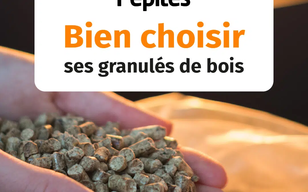 Granulés bois : comment reconnaître un bon rapport qualité prix ?