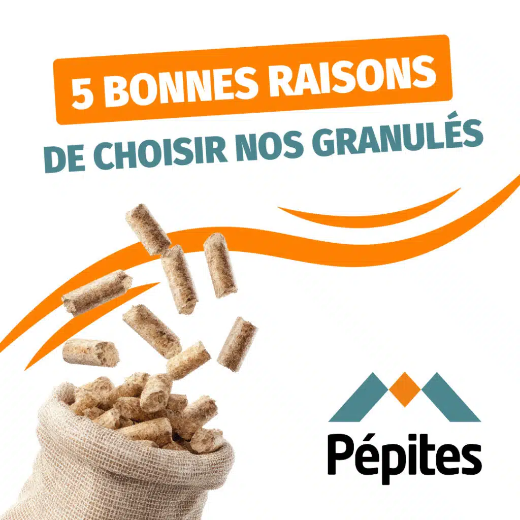 Granulés Pépites pour anticiper son chauffage cet hiver